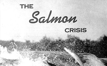 The Salmon Crisis